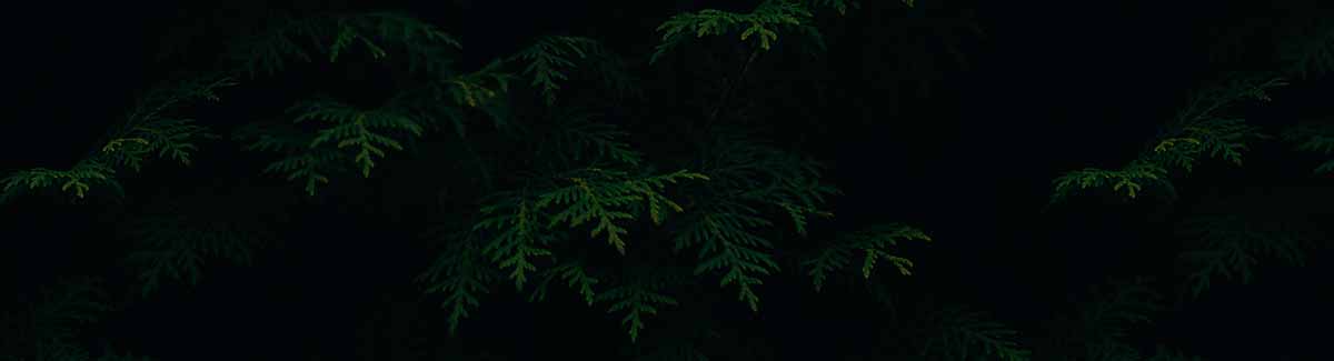 Dad It Up Brotherhood